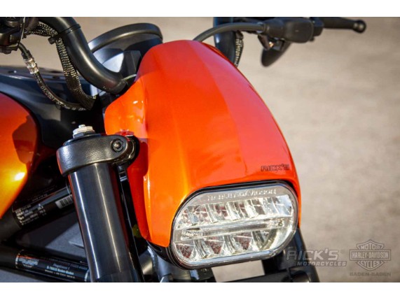 Harley-Davidson-Sportster-S-Ricks-Custombike-003
