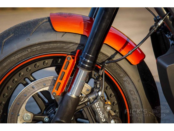 Harley-Davidson-Sportster S-Ricks Custombike-047