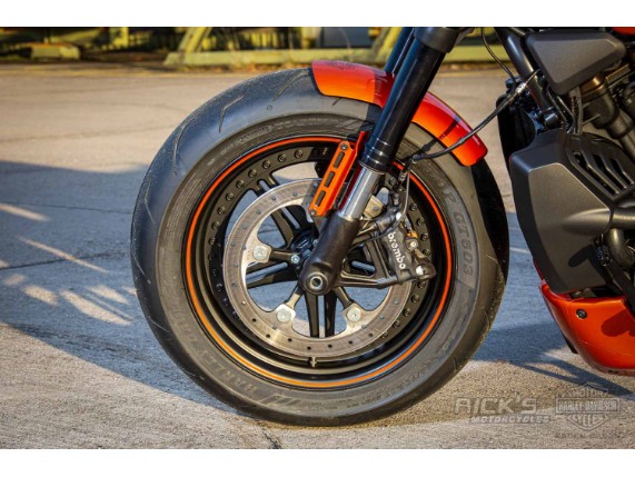 Harley-Davidson-Sportster S-Ricks Custombike-048