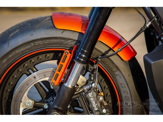 Harley-Davidson-Sportster S-Ricks Custombike-055