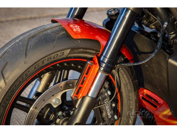 Harley-Davidson-Sportster S-Ricks Custombike-060