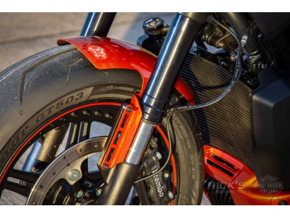 Harley-Davidson-Sportster S-Ricks Custombike-062