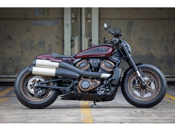 Rick's Motorcycles front fender Sportster S from 2021