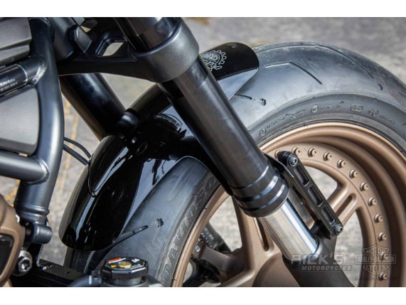 Harley-Davidson-Sportster-S-Ricks-Custombike-087