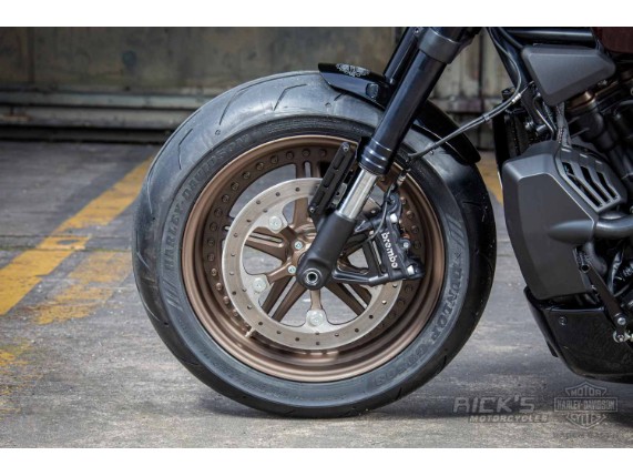 Harley-Davidson-Sportster-S-Ricks-Custombike-103