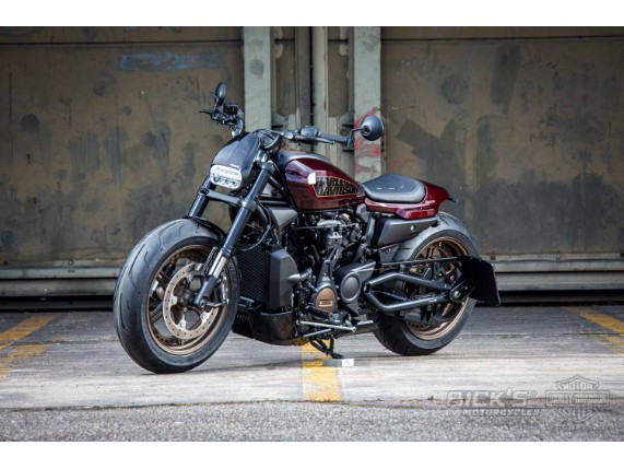 Harley-Davidson-Sportster-S-Ricks-Custombike-105