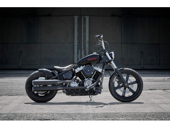 Harley-Davidson Standard, 5HD1BVJ48PS013212