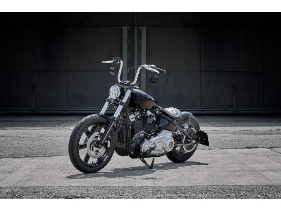 Harley-Davidson Standard, 5HD1BVJ48PS013212