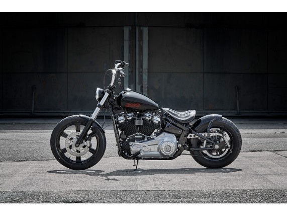 Harley-Davidson Standard, 5HD1BVJ48PS013212