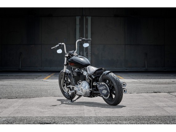Harley-Davidson Standard, 5HD1BVJ48PS013212