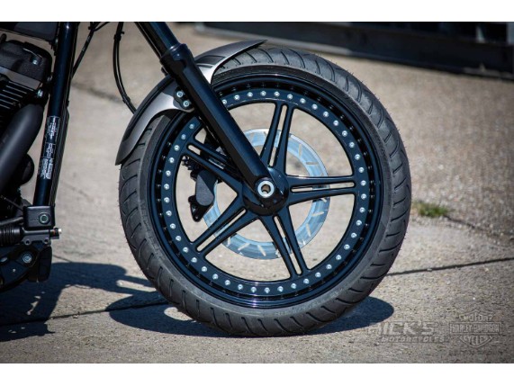 Harley-Davidson-Street-Bob-300-Custom-Ricks-003-1