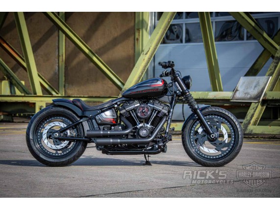 Harley-Davidson-Street-Bob-Custom-Ricks-032