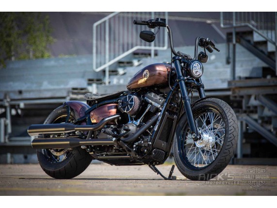 Harley-Davidson-Street-Bob-Ricks-Custom-Bobber-002