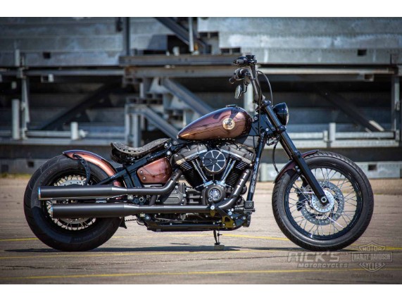 Harley-Davidson-Street-Bob-Ricks-Custom-Bobber-010