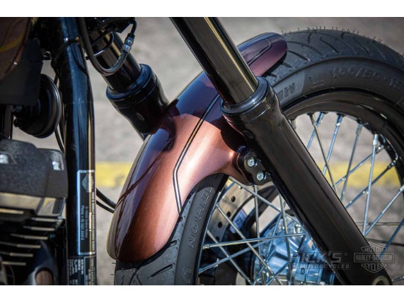 Harley-Davidson Street Bob Ricks - Custom Bobber- 031