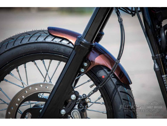 Harley-Davidson Street Bob Ricks - Custom Bobber- 067