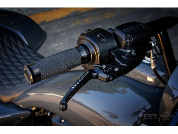 Harley-Davidson_Street_Glide-Custom-Ricks019_Kopie