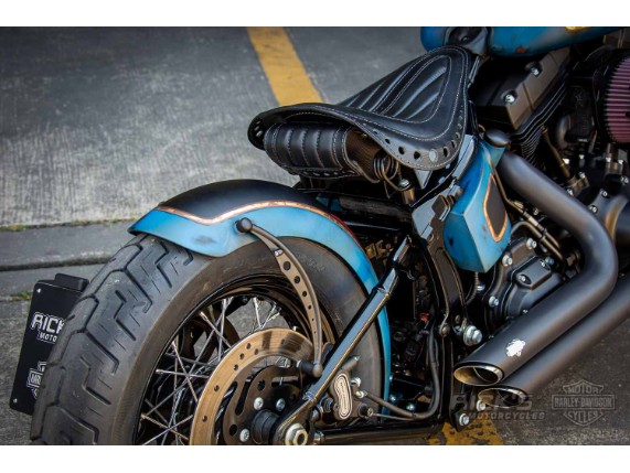 Harley-Davidson-Twin-Cam-Softail-Slim-Bobber-lang-020-1