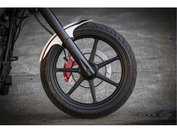 Harley_Fat_Boy_Slim_S_300_-_B-VA-42-017