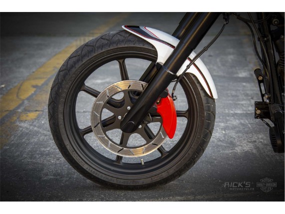 Harley_Fat_Boy_Slim_S_300_-_B-VA-42-034