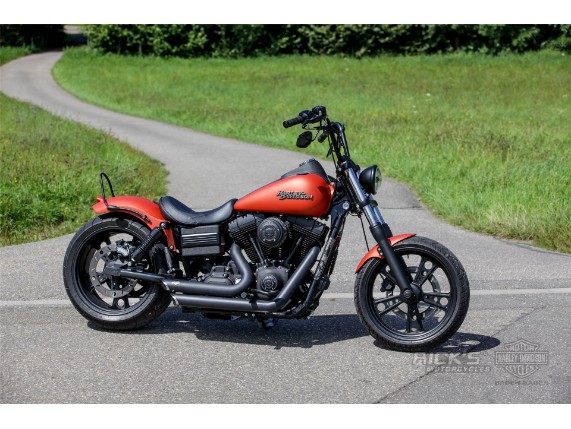 HRF_Patrick_Vogt_FXDB_Orange-035