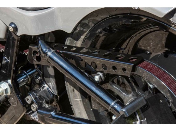 Ricks-Harley-Beltabdeckung-Softail-2018-Riemenschutz-rund-ausgespart-schw-glanz-273760258593-4