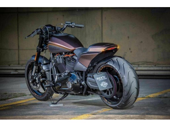 Ricks-Harley-Blinkerhalterung-hinten-FXDR-schwarz-mit-Kellermann-RHOMBUS-S-283390655534-5