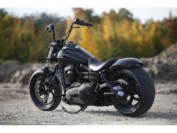 Ricks-Harley-Davidson-Blinkerhalter-Kit-hinten-CNC-gefrst-schwarz-glanz-273221049974