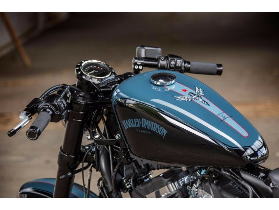 Ricks-Harley-Davidson-Custom-Bike-Tachogehuse-Sportster-Roadster-Kit-ab-2016-272924502340-5