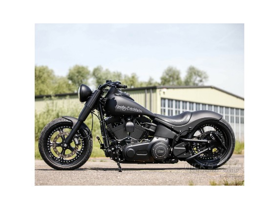 Ricks-Harley-Davidson-Gimmi-5-115-292mm-poliert-Bremsscheibe-283414046390-4