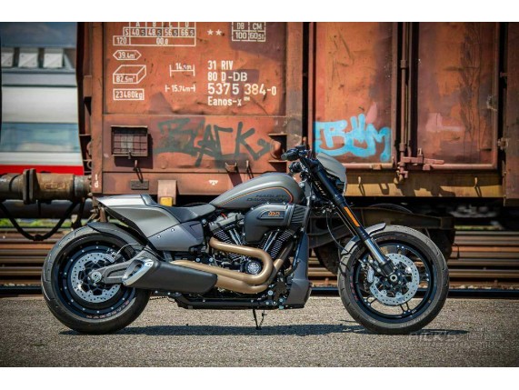 Ricks-Harley-Davidson-Softail-M8-FXDR-ab-2018-Fender-Schutzblech-vorne-Stahl-273967579729-11