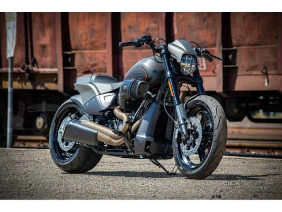 Ricks-Harley-Davidson-Softail-M8-FXDR-ab-2018-Fender-Schutzblech-vorne-Stahl-273967579729-7