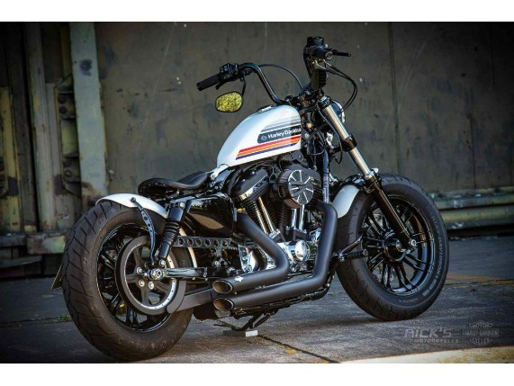 Ricks-Harley-Davidson-Sportster-Beltschutz-Antriebsriemen-Abdeckung-283613342187-7