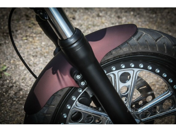 Ricks-Harley-Dyna-ab-2006-Schutzblech-Fender-fr-18-GFK-273733936343-7