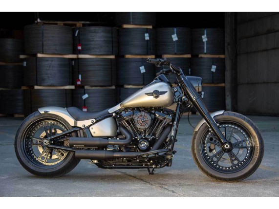 Ricks-Harley-Fat-Boy-ab-2018-Schutzblech-vorne-Front-Fender-160er-Reifen-kurz-273201108791-5
