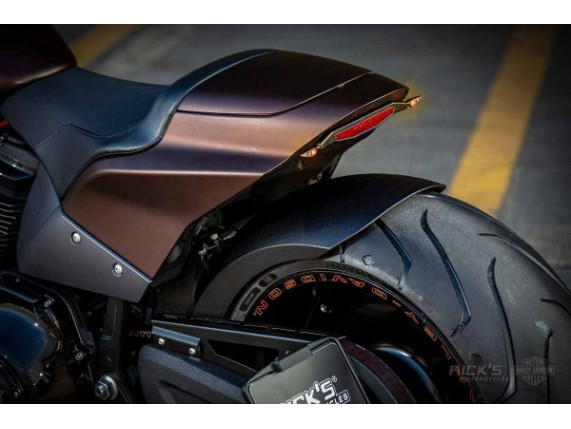Ricks-Harley-FXDR-Stahl-fender-rear-Spritzschutz-Reifenabdeckung-273597750466