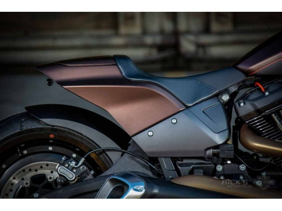 Ricks-Harley-FXDR-Stahl-fender-rear-Spritzschutz-Reifenabdeckung-273597750466-7