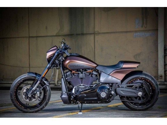 Ricks-Harley-FXDR-Stahl-fender-rear-Spritzschutz-Reifenabdeckung-273597750466-8