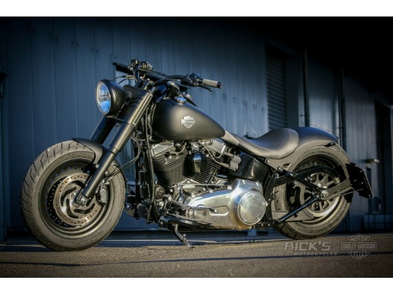 Ricks-Harley-Softail-00-07-seitlich-Kennzeichenhalter-glanz-schw-TVABE-DE-273701650433-4