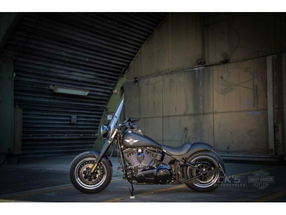 Ricks-Harley-Softail-08-17-seitlich-Kennzeichenhalter-matt-schw-TVABE-AT-273701359037-6