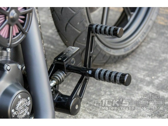 Ricks-Harley-Softail-EVO-1999-Furastenanlage-2-vorverlegt-schw-O-Ring-TV-283396528319-3