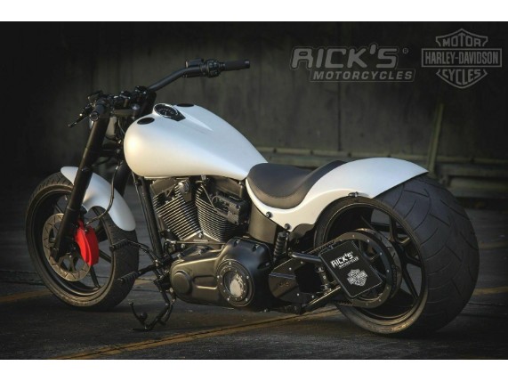 Ricks-Harley-Softail-EVO-1999-Furastenanlage-2-vorverlegt-schw-O-Ring-TV-283396528319-4