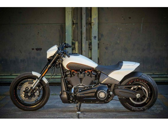 Ricks-Harley-Softail-Mil8-2019-Bullauge-Derbycover-Kupplungsdeckel-bicol-ma-283660020741-6
