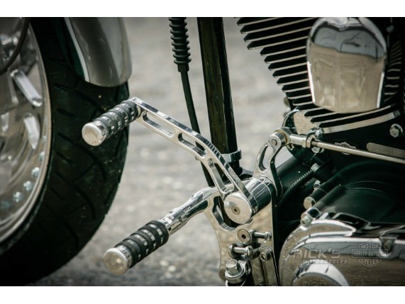 Ricks-Harley-Softail-TC88-00-06-Furastenanlage-OEM-Position-poliert-O-Ring-TV-283396575743-3