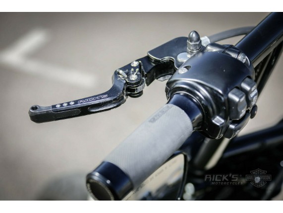 Ricks-Harley-Sportster-2004-2013-verstellbare-Brems-und-Kupplungshebel-schwarz-273751235745-5