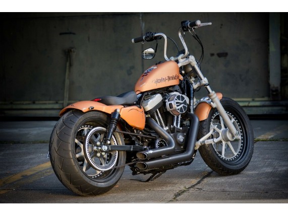 Ricks-Harley-Sportster-ab-2010-180200er-Rder-Schutzblech-Fender-Stahl-hinten-283000439347-10