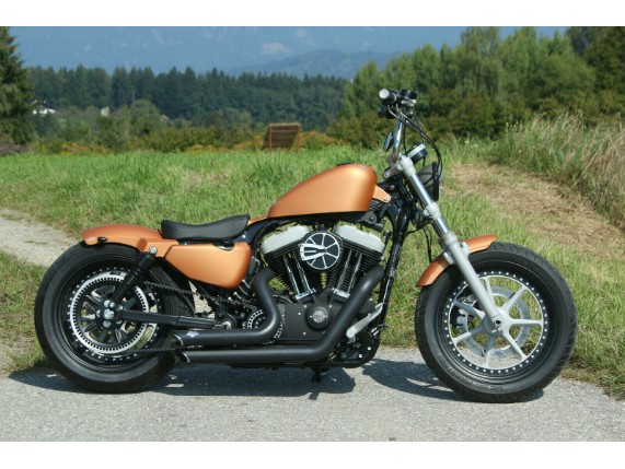 Ricks-Harley-Sportster-ab-2010-180200er-Rder-Schutzblech-Fender-Stahl-hinten-283000439347-11