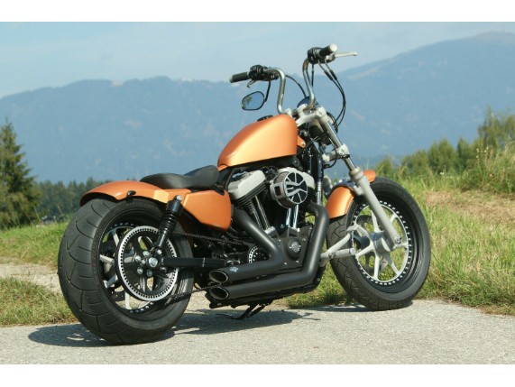 Ricks-Harley-Sportster-ab-2010-fr-210er-Rder-Schutzblech-Fender-hinten-Stahl-283000440696-10