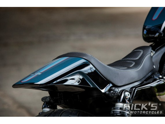 Ricks-Harley-Sportster-ab-2010-RACELINE-Schutzblech-Fender-hinten-GFK-282970846086-12
