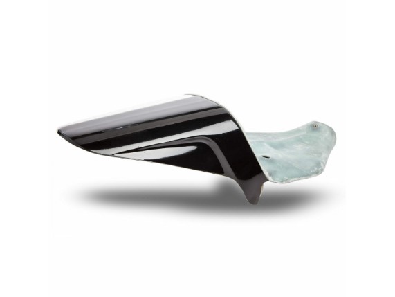 Ricks-Harley-Sportster-ab-2010-RACELINE-Schutzblech-Fender-hinten-GFK-282970846086-2